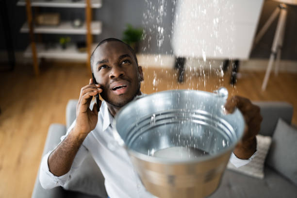 Best Ceiling water damage repair  in Payson, AZ