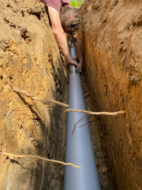 Best Flood damage cleanup  in Payson, AZ
