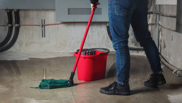 Best Water damage cleanup near me  in Payson, AZ