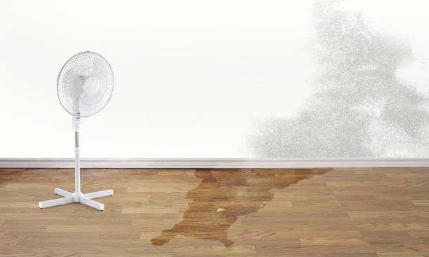Best 24/7 water damage repair  in Payson, AZ