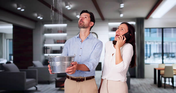 Best Basement water damage restoration  in Payson, AZ