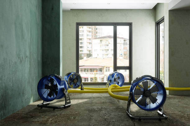 Best Flood restoration services  in Payson, AZ